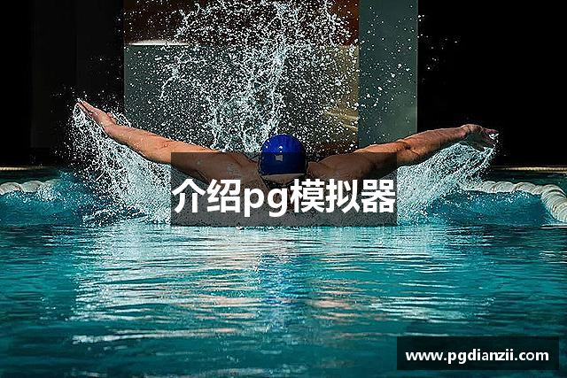 介绍pg模拟器